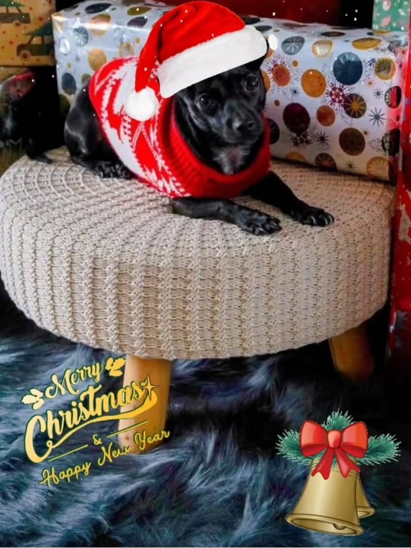 🎄❤lieve volgers Ik wil jullie via deze weg hele fijne feestdagen wensen. En alle geluk en gezondheid vóór 2026❤🎄

Ik ben hier nog niet zo actief als ik eigenlijk op de planning had staan. 😅🙈 iets met studie, bedrijf opstarten en dingen privé die veel aandacht en tijd nodig hadden. 
Maar komt goed alles op zijn tijd ✌🏻✨ ik volg daarin altijd mijn gevoel. 

#holistisch #holisticlifestyle #merrychristmas
#coaching