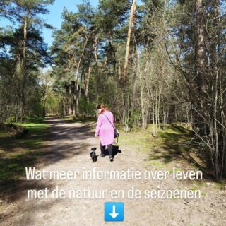 Leven met de seizoenen in plaats van ertegenin 🌱☀️🍂❄️

De natuur laat ons elk jaar opnieuw zien wat balans echt betekent.
Elk seizoen nodigt je uit tot iets anders en wanneer jij meebeweegt, ontstaat er rust, energie en verbinding ✨

🌱 Lente – Ontwaken & vernieuwen
De lente staat vóór vernieuwing en energie.
De energie stijgt, alles komt in beweging en staat in bloei. 

• Start nieuwe projecten of zet nieuwe intenties maak een Vision Board
• Doe een milde detox lichter eten, meer groente en fruit
• Ga vaker naar buiten, voel de frisse energie van de lente en de natuur die ontwaakt
• Ruim op  in je huis en in je hoofd

☀️ Zomer – Stralen & verbinden
De zomer staar vóór volle bloei, naar buiten gericht en socializen. 

• Plan sociale momenten en plezier in
• Speelsheid en beweging (zwemmen, dansen, wandelen)
• Eet lichte en kleurrijke maaltijden
• Geniet van ieder moment, zonder jezelf voorbij te lopen

🍁 Herfst – Loslaten & vertragen
De herfst staat vóór loslaten.
De natuur laat los jij mag dat ook. 

• Reflecteer: wat dient je niet meer?
• Creëer structuur en ritme in je dagelijkse leven
• Eet verwarmende  en voedende maaltijden
• Trek je vaker terug, luister naar wat je lichaam te vertellen heeft

❄️ Winter – Rust & verstilling
Winter staat vóór naar binnen keren en herstellen.

• Gun jezelf meer rust en slaap
• Verlaag je tempo en verwachtingen
• Doe aan journaling of meditatie
• Koester stilte en zelfzorg

Wanneer je leeft in harmonie met de seizoenen, hoef je niet constant ‘aan’ te staan.
Je mag meebewegen.
Net als de natuur 🍃

Leef jij al synchroon met de natuur en de seizoenen? En wat doet dit vóór jouw? 

#holisme #seizoenen #seasonalliving #holisticcoach #levenmetdenatuur